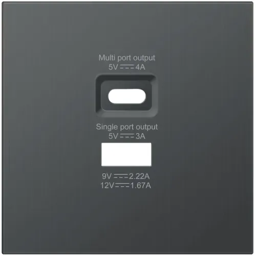 Накладка для розеток USB A+C, вороненая сталь, серия R98 METAL