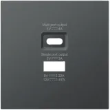 Накладка для розеток USB A+C, вороненая сталь, серия R98 METAL