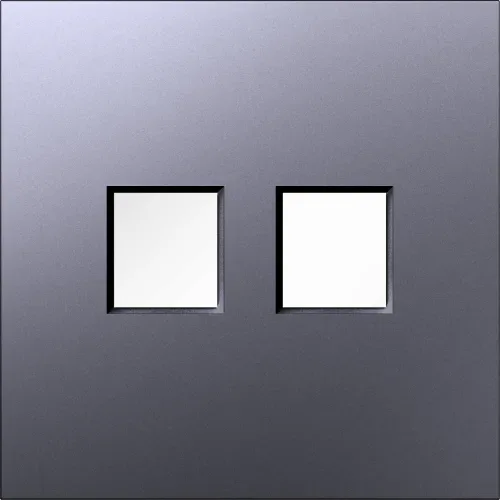 Накладка 2-я для розеток RJ45, TV, SAT, сталь, серия S08