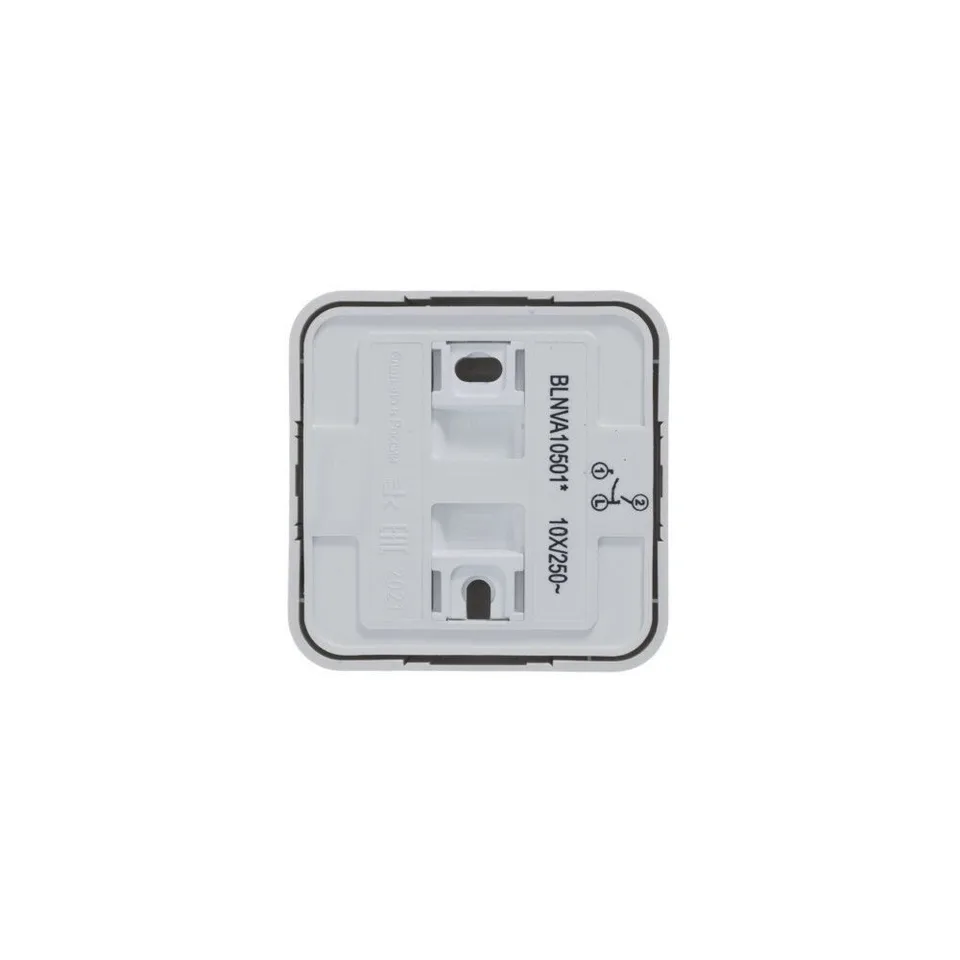 Выключатель Systeme Electric Blanca, открытой установки 2-клавишный (cх.5) изол. пл., 10А, 250B, белый