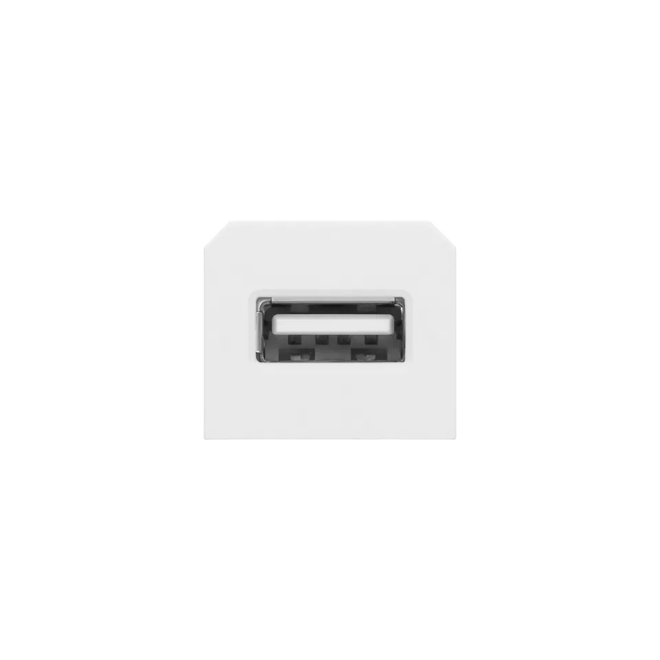 Розетка сменная модульная USB, для блока OR-GM-9015/W, белый