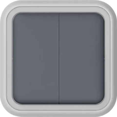 Переключатель 2-клавишный накладной, цвет серый, IP55, серия W55