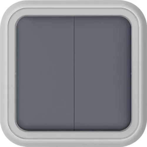Переключатель 2-клавишный накладной, цвет серый, IP55, серия W55