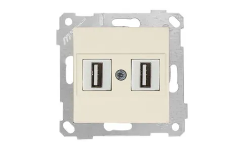 Rita - Розетка 2xUSB Type A, для передачи данных, сл.кость