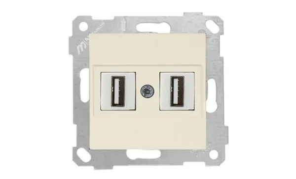 Rita - Розетка 2xUSB Type A, для передачи данных, сл.кость