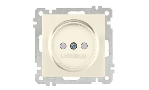 21 - Розетка 2P, защ. шторки, сл.кость