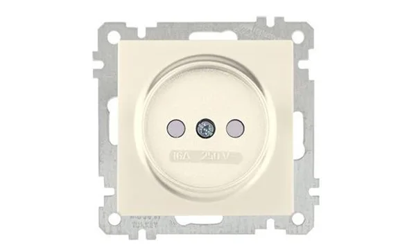 21 - Розетка 2P, защ. шторки, сл.кость