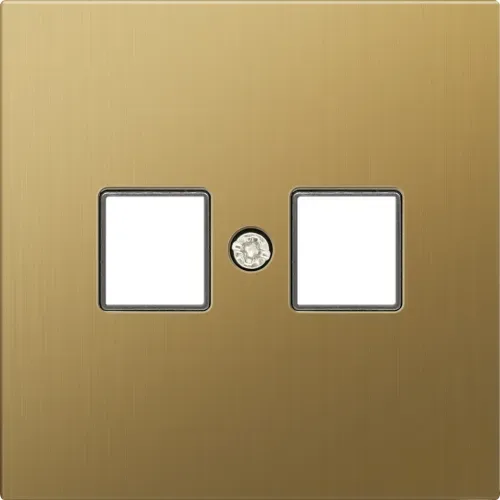 Накладка для розетки RJ45, 2-я, матовое золото, серия R98 METAL