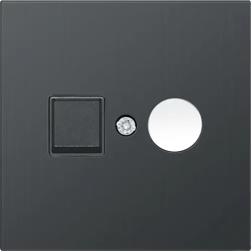 Накладка TV/SAT розетки, вороненая сталь, серия R98 METAL