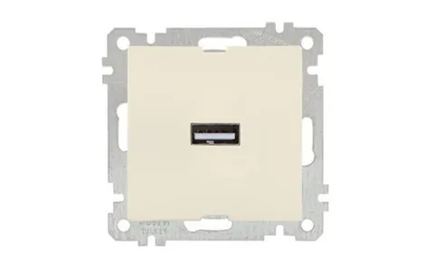 21 - Розетка 1xUSB Type A, сл.кость