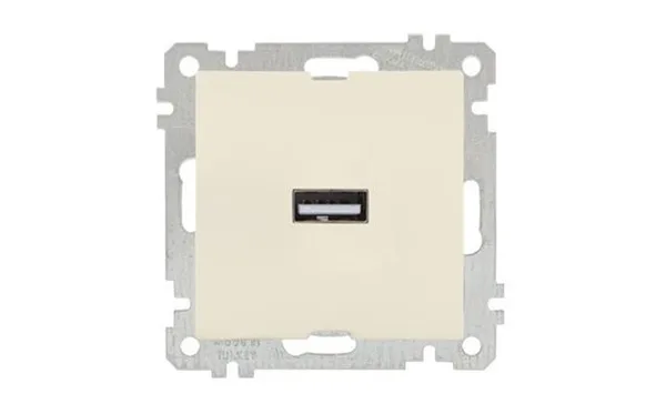 21 - Розетка 1xUSB Type A, сл.кость