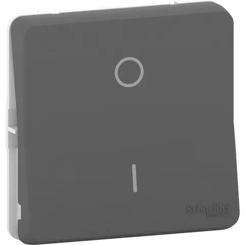 Выключатель Schneider Electric Mureva, S, переключатель 2-полюсный, механизм, антрацит, IP55