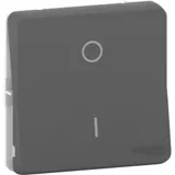 Выключатель Schneider Electric Mureva, S, переключатель 2-полюсный, механизм, антрацит, IP55