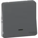Выключатель Schneider Electric Mureva, S, переключатель с подсветкой, механизм, антрацит, IP55