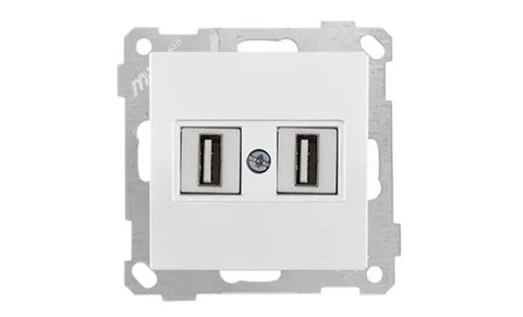 21 - Розетка 2xUSB Type A, для передачи данных, белая