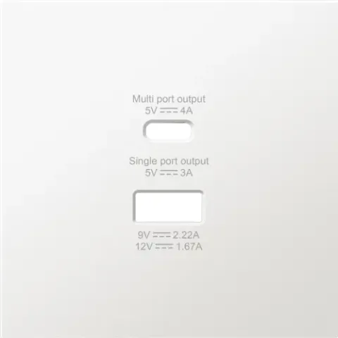 Накладка для розеток USB A+C, матовый жасмин, серия R98