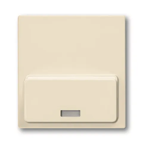 Basic 55 - Лицевая панель для Busch-iDock 8218U (сл.кость)