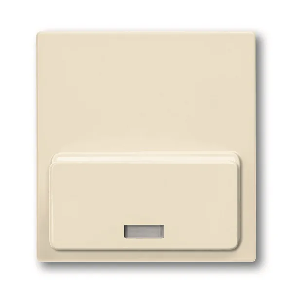 Basic 55 - Лицевая панель для Busch-iDock 8218U (сл.кость)
