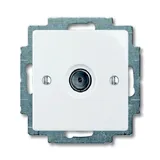 Basic 55 - Розетка TV простая 2400MHz (сл.кость)