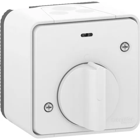 Модуль управления Schneider Electric Mureva, S, выключатель с таймером (реле времени), открытой установки, белый, IP55