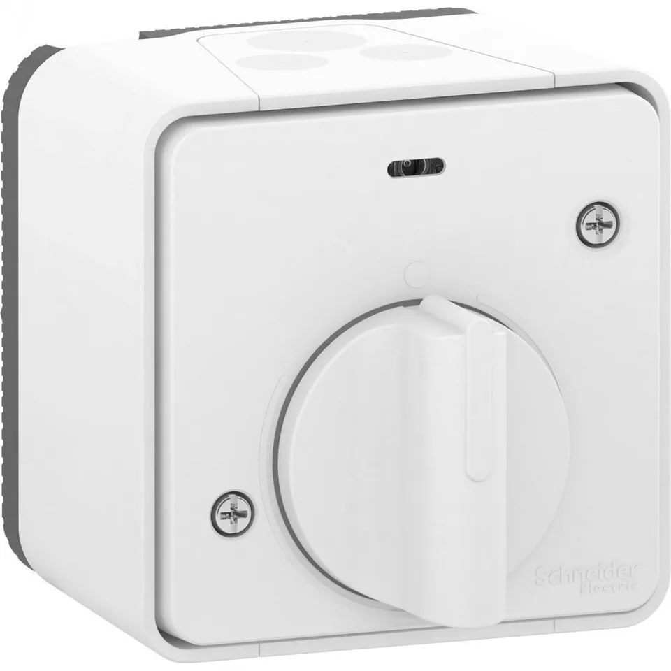 Модуль управления Schneider Electric Mureva, S, выключатель с таймером (реле времени), открытой установки, белый, IP55