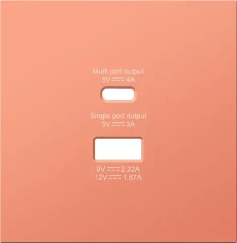 Накладка для розеток USB A+C, матовый коралл, серия R98