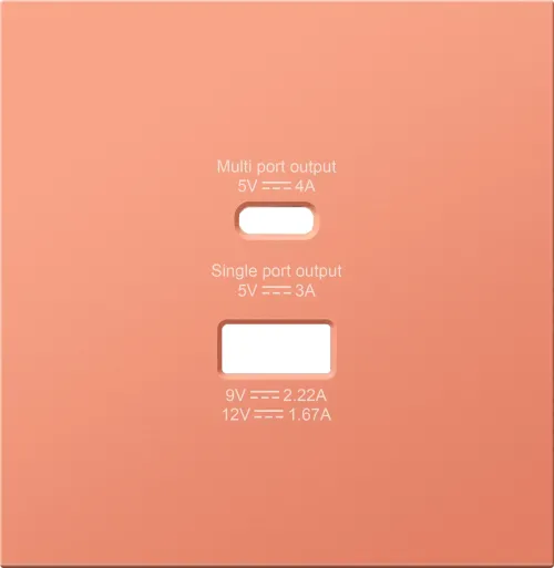 Накладка для розеток USB A+C, матовый коралл, серия R98