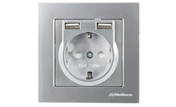 Rita - Розетка 2P+E, с 2xUSB Type A 2,4A (однопостовой монтаж в комплекте с рамкой), нерж. сталь