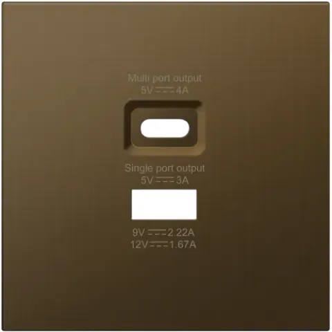 Накладка для розеток USB A+C, латунь, серия R98 METAL