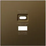 Накладка для розеток USB A+C, латунь, серия R98 METAL