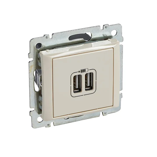 Valena - Розетка с 2-мя коннекторами USB, сл.кость