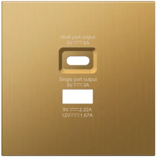 Накладка для розеток USB A+C, матовое золото, серия R98 METAL