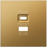 Накладка для розеток USB A+C, матовое золото, серия R98 METAL