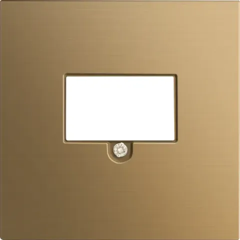Накладка стандарта TAE для розеток USB, HDMI, аудио, латунь, серия R98 METAL
