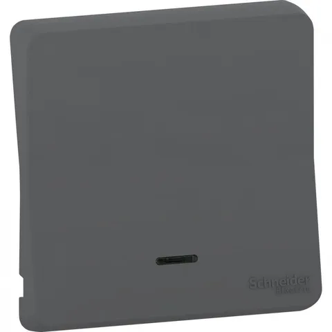 Лицевая панель Schneider Electric Mureva, S, клавиша с линзой подсветки, антрацит, IP55