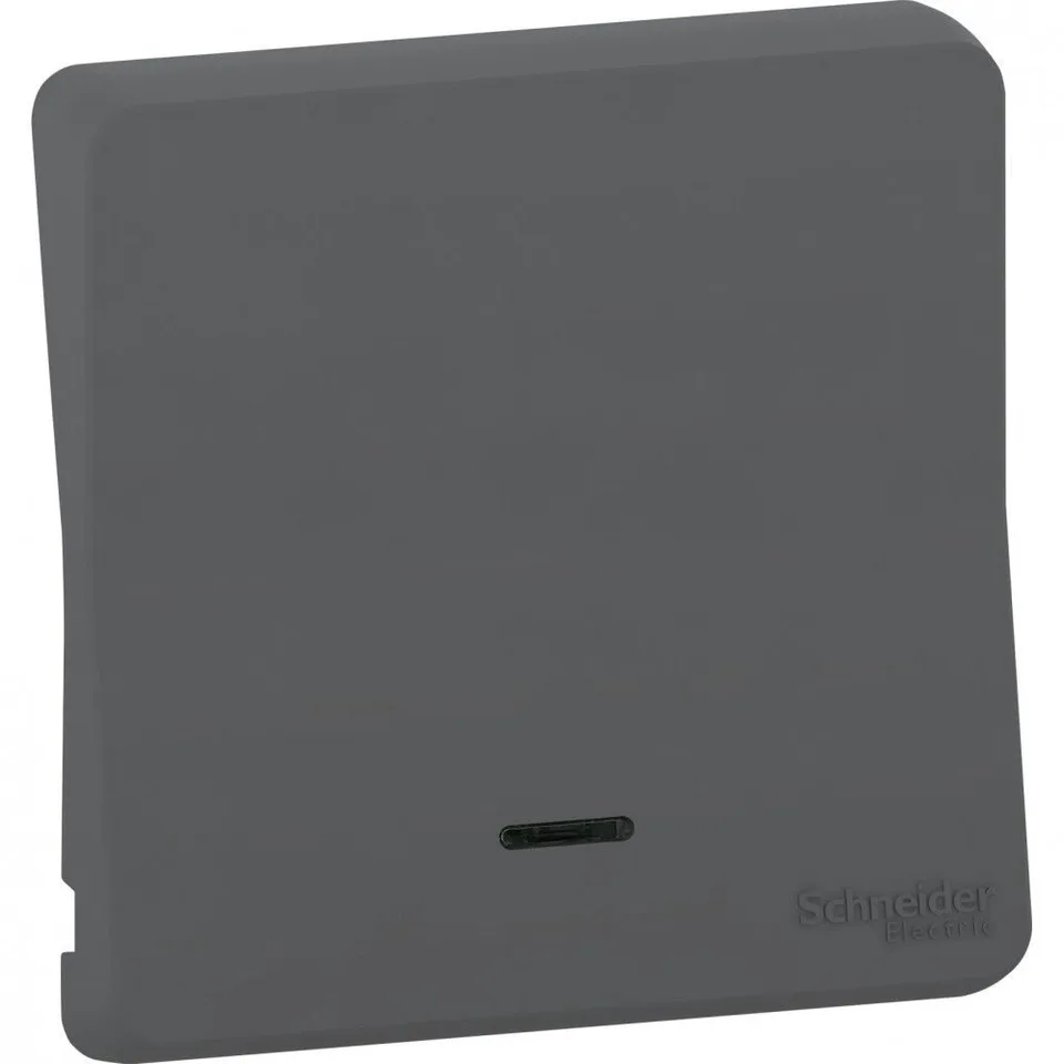 Лицевая панель Schneider Electric Mureva, S, клавиша с линзой подсветки, антрацит, IP55