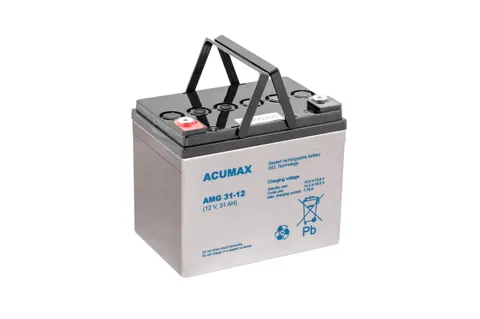 Батарея аккумуляторная Acumax AMG31-12, 12V/31Ah, 167x195x130 HxLxW, 10.7kg, 10-12лет