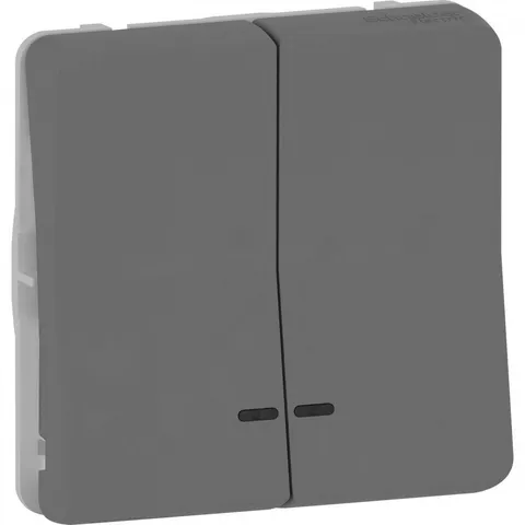 Выключатель Schneider Electric Mureva, S, двойной кнопочный с подсветкой, механизм, антрацит, IP55