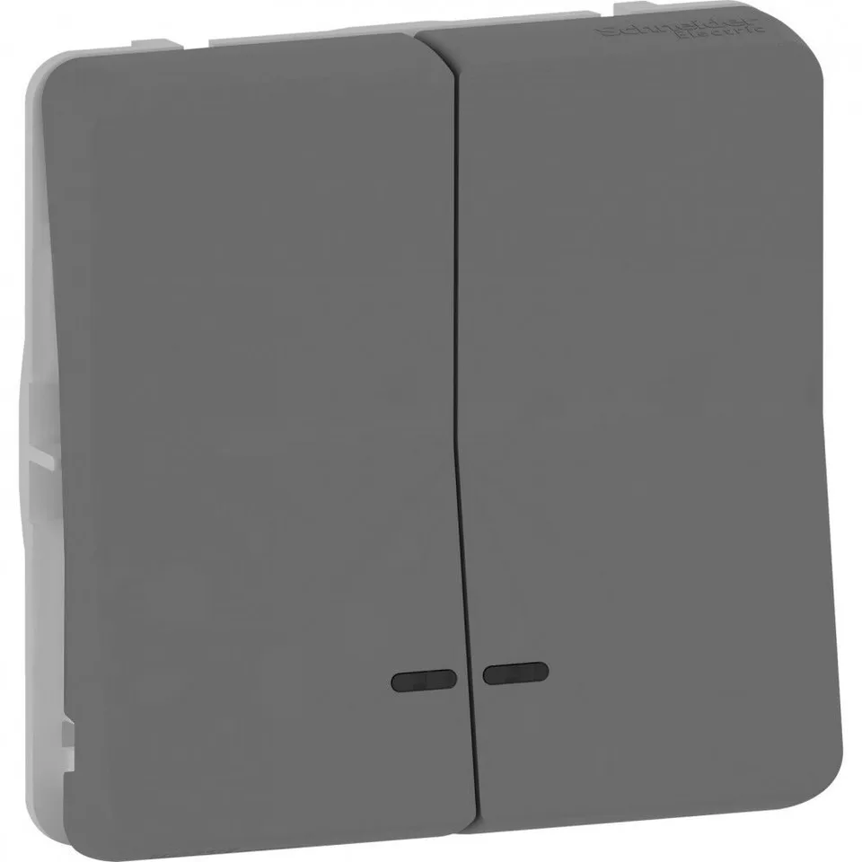 Выключатель Schneider Electric Mureva, S, двойной кнопочный с подсветкой, механизм, антрацит, IP55