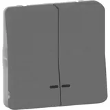 Выключатель Schneider Electric Mureva, S, двойной кнопочный с подсветкой, механизм, антрацит, IP55