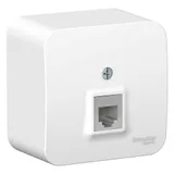 Розетка телефонная Systeme Electric Blanca, открытой установки RJ11 изол. пл., белый