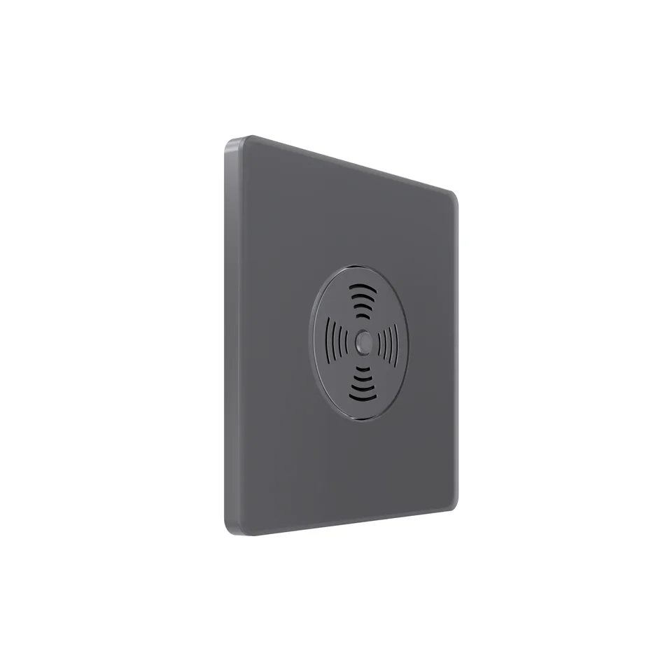 Выключатель Systeme Electric Infinity, звуковой скрытой установки 100Вт с выдержкой времени (230В), Вулканический пепел