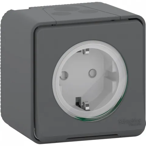 Розетка Schneider Electric Mureva, MS, с з/к. и шт., отк/уст, антр
