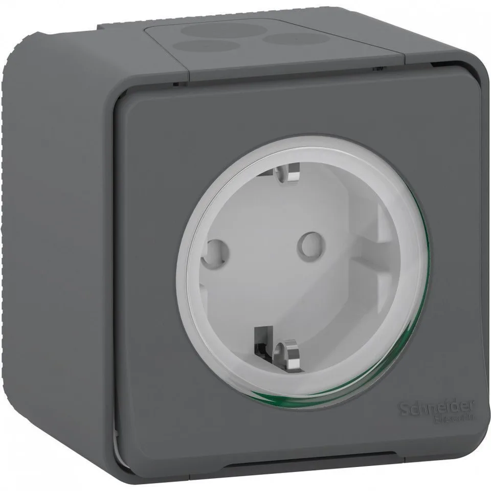 Розетка Schneider Electric Mureva, MS, с з/к. и шт., отк/уст, антр