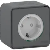 Розетка Schneider Electric Mureva, MS, с з/к. и шт., отк/уст, антр