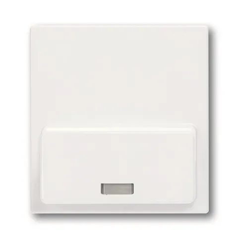 Basic 55 - Лицевая панель для Busch-iDock 8218U (белый)