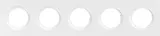 Рамка 5-я, глянцевый белый, серия D16