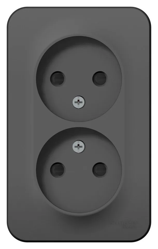 Розетка Systeme Electric Blanca, открытой установки двойная без заземления со шторками, 16А, 250В, антрацит