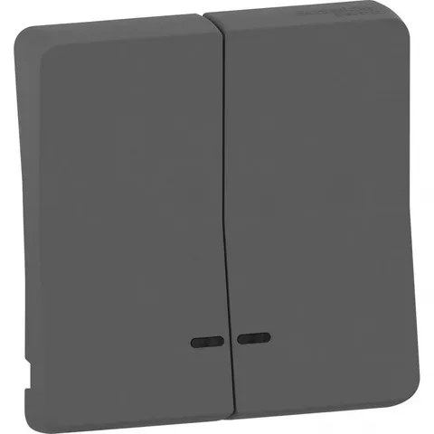 Лицевая панель Schneider Electric Mureva, S, двойная клавиша с линзой подсветки, антрацит, IP55