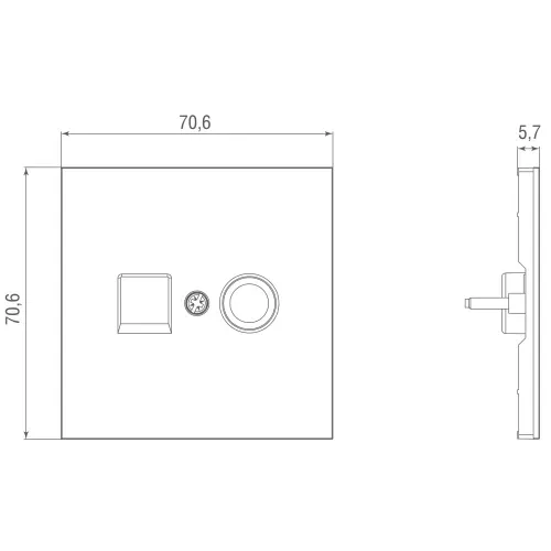 Накладка для розеток RJ45+SAT, 2-я, сталь, серия R98